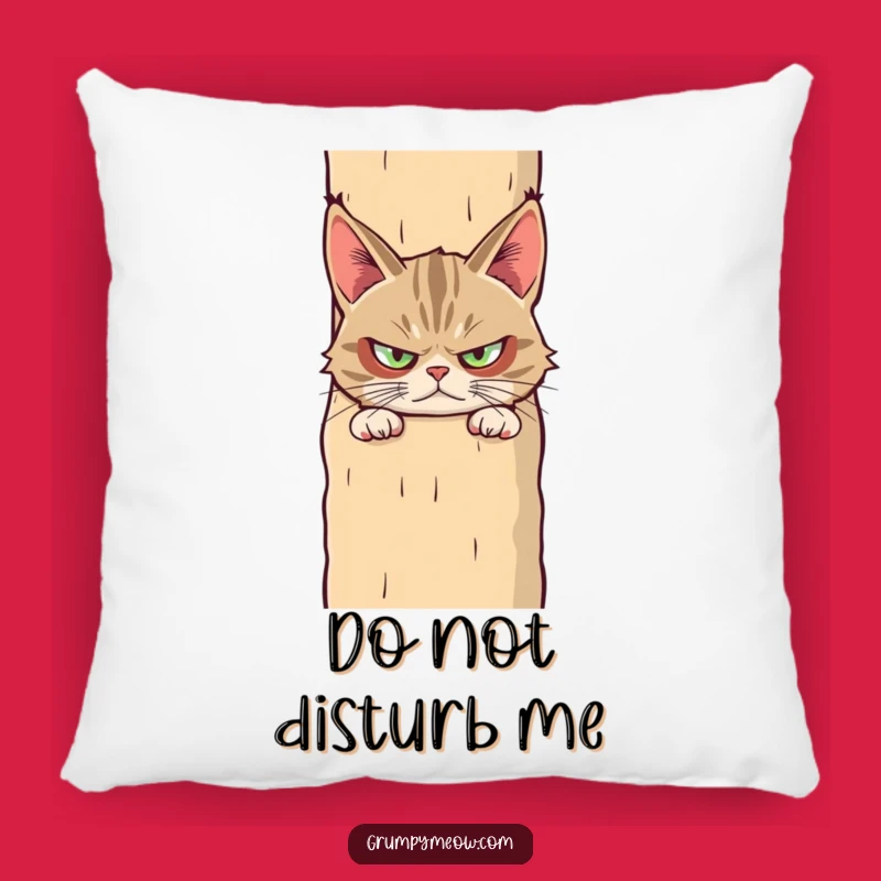Funny Grumpy Cat Suspicious Pillow - Snuggle Up with Skepticism! Perfect Funny Gift!