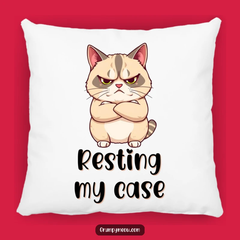 Funny Grumpy Cat Crossed Arms Pillow - Cozy Unimpressed Comfort Gift