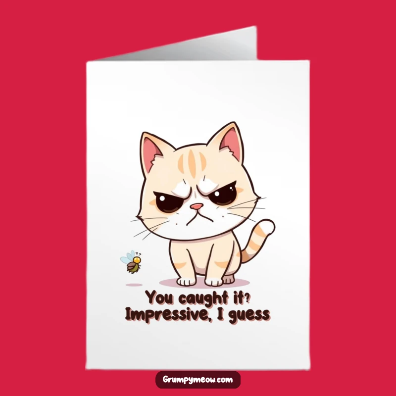 Free Printable Grumpy Cat Congrats Card: Fly Chase Humor Downloadable Gift